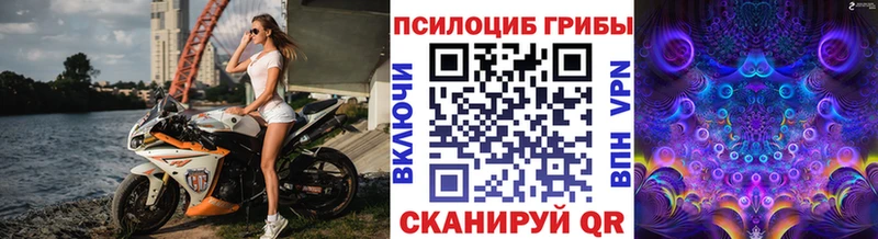 KRAKEN вход  Алагир  Псилоцибиновые грибы Magic Shrooms 